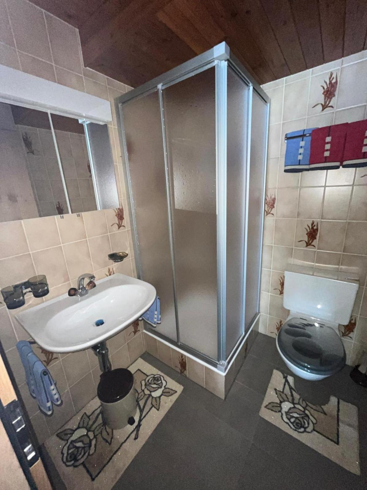 Апартаменты Haus Erle Саас-Грунд Экстерьер фото