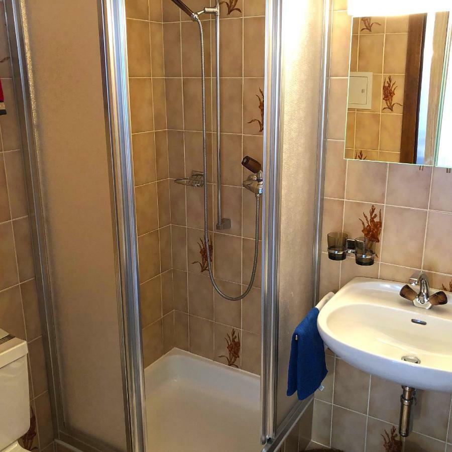 Апартаменты Haus Erle Саас-Грунд Экстерьер фото