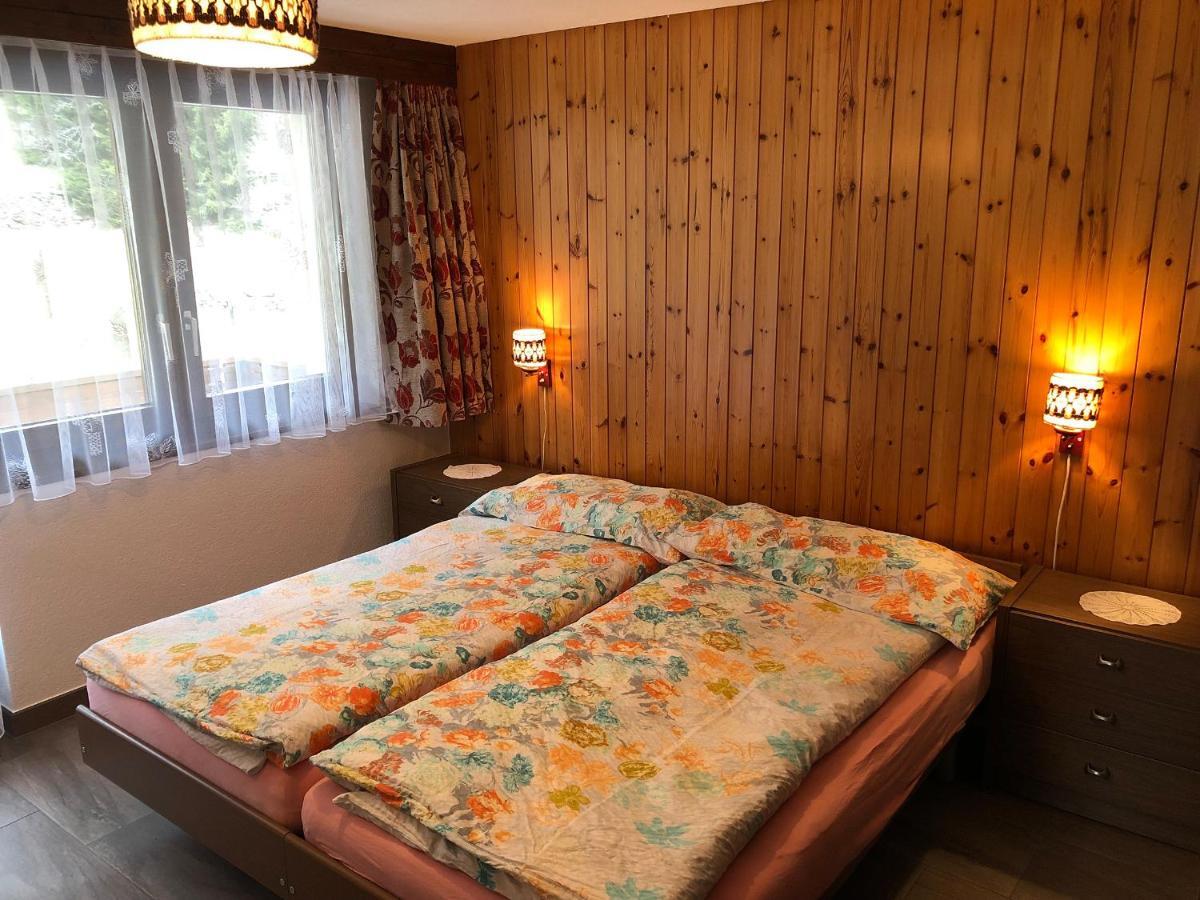 Апартаменты Haus Erle Саас-Грунд Экстерьер фото